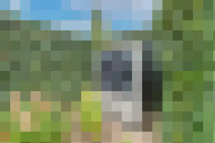 Pastoor Jilesenstraat 6 Haghorst thumbnail 62