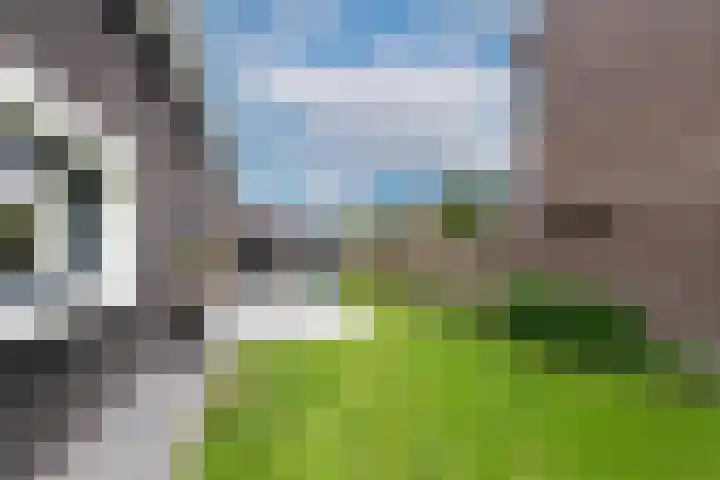 Pastoor Jilesenstraat 6 Haghorst thumbnail 63