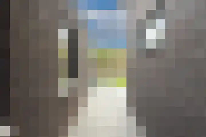 Pastoor Jilesenstraat 6 Haghorst thumbnail 66