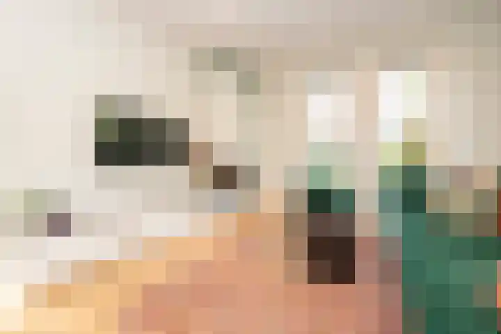 Pastoor Jilesenstraat 6 Haghorst thumbnail 9