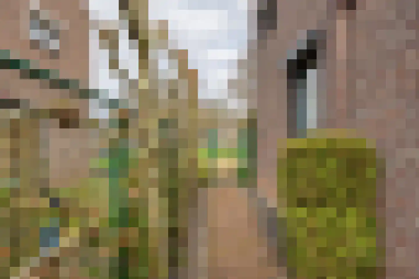 Pastoor Joannes Aussemsstraat 14 Meerssen thumbnail 36