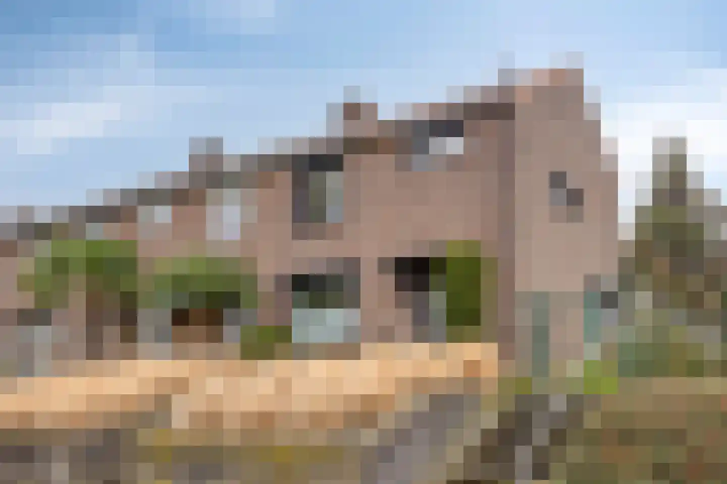 Pastoor Joannes Aussemsstraat 14 Meerssen thumbnail 6