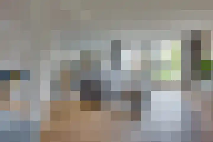 Pastoor Jurgensstraat 4 Esbeek thumbnail 12