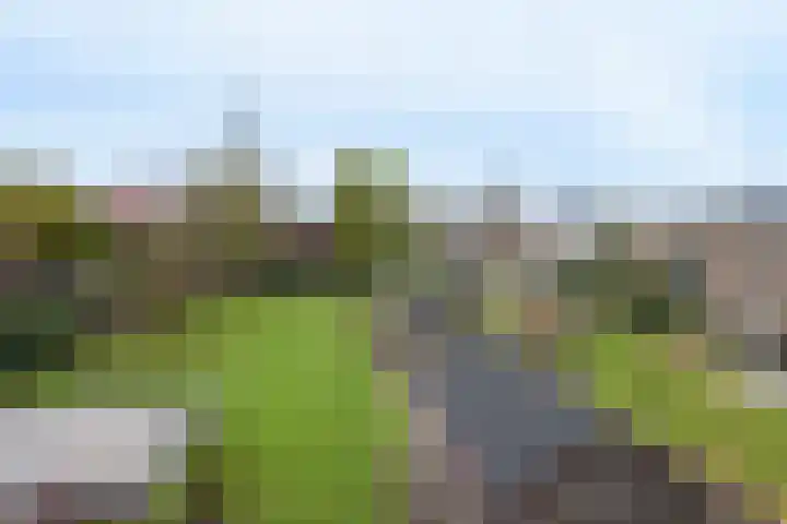 Pastoor Jurgensstraat 4 Esbeek thumbnail 31