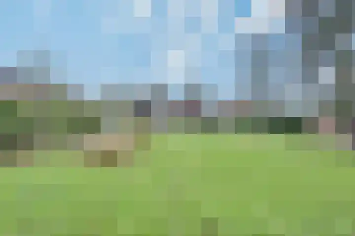 Pastoor Jurgensstraat 4 Esbeek thumbnail 33