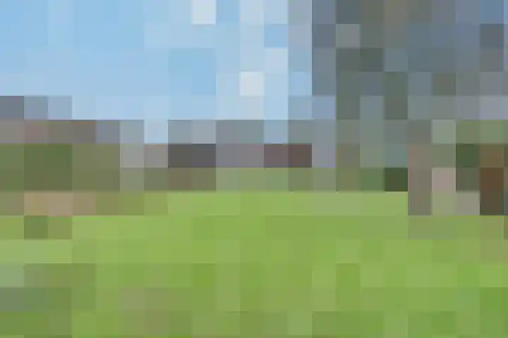 Pastoor Jurgensstraat 4 Esbeek thumbnail 34