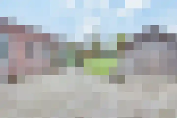 Pastoor Jurgensstraat 4 Esbeek thumbnail 35