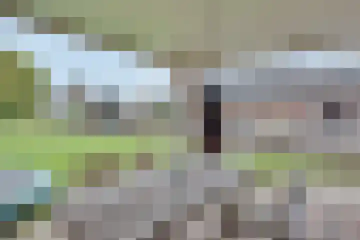 Pastoor Jurgensstraat 4 Esbeek thumbnail 36