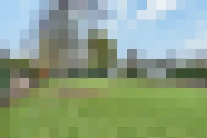 Pastoor Jurgensstraat 4 Esbeek thumbnail 39