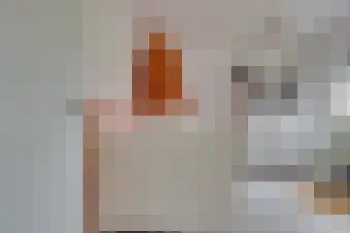 Pastoor Jurgensstraat 4 Esbeek thumbnail 45