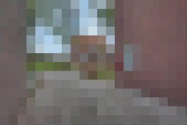 Pastoor Jurgensstraat 4 Esbeek thumbnail 7
