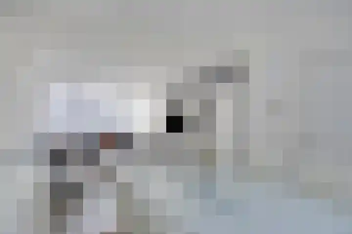 Pastoor Jutenlaan 37 Bergen op Zoom thumbnail 11