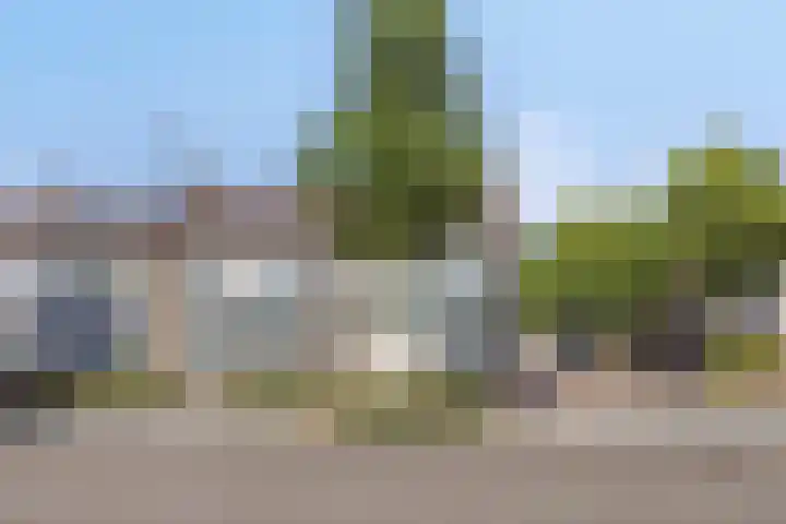 Pastoor Jutenlaan 37 Bergen op Zoom thumbnail 52