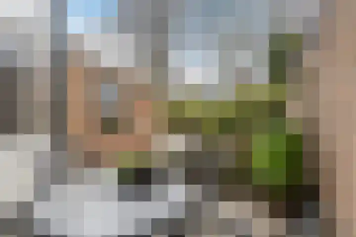 Pastoor Jutenlaan 47 Bergen op Zoom thumbnail 30