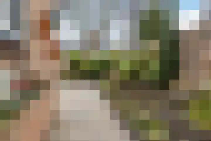 Pastoor Jutenlaan 47 Bergen op Zoom thumbnail 31