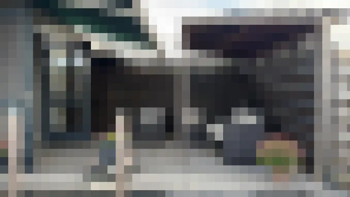 Pastoor Jutenlaan 8 Bergen op Zoom thumbnail 21