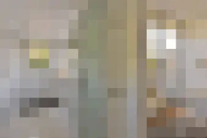 Pastoor Kannelaan 10 Wilnis thumbnail 14
