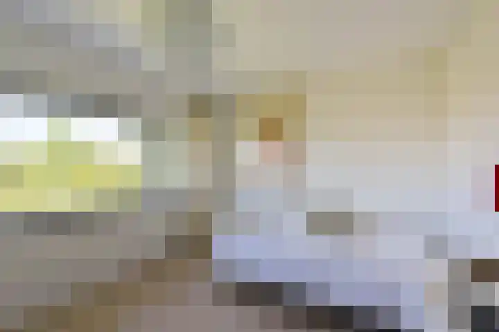Pastoor Kannelaan 10 Wilnis thumbnail 21