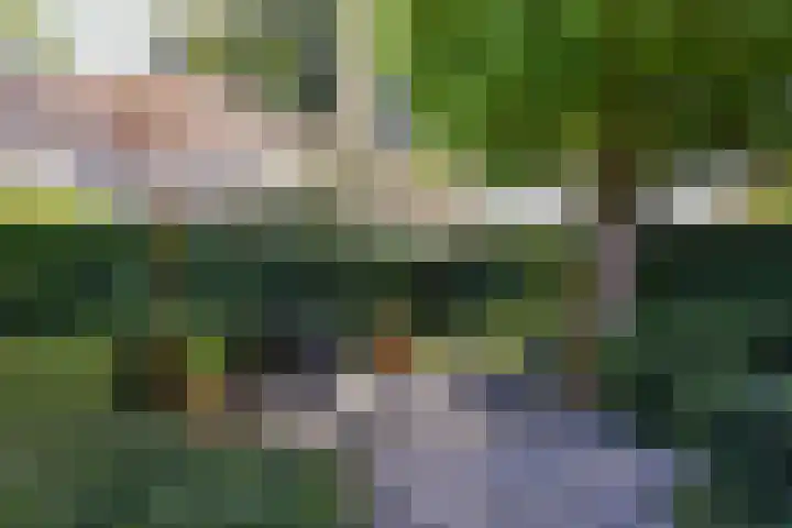 Pastoor Kannelaan 10 Wilnis thumbnail 28