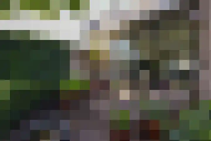 Pastoor Kannelaan 10 Wilnis thumbnail 30