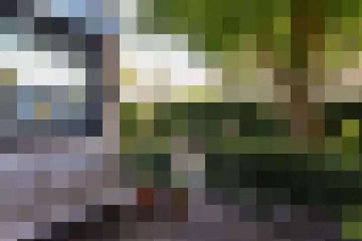 Pastoor Kannelaan 10 Wilnis thumbnail 31