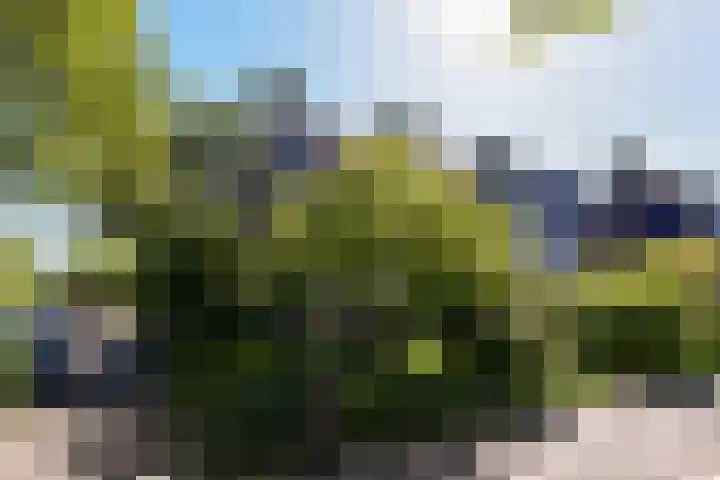 Pastoor Kannelaan 10 Wilnis thumbnail 38