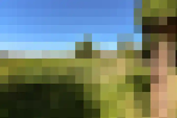 Pastoor Kannelaan 10 Wilnis thumbnail 39