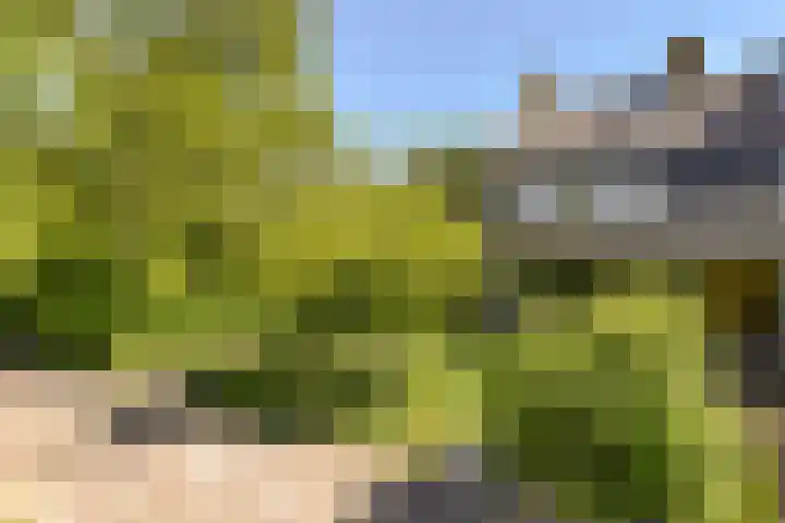 Pastoor Kannelaan 10 Wilnis thumbnail 41