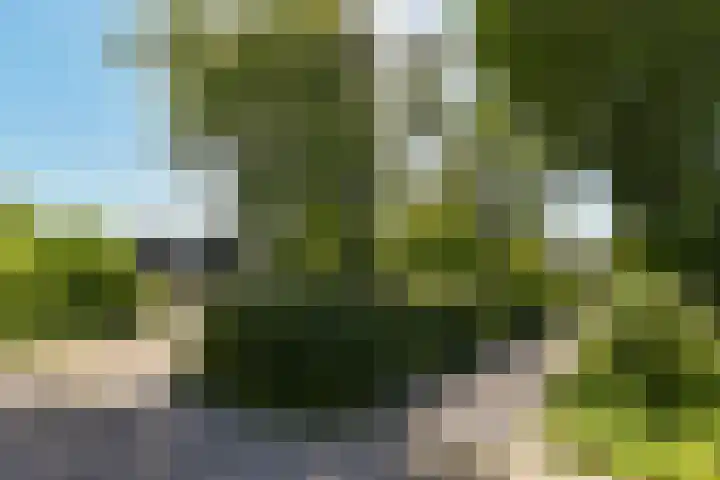Pastoor Kannelaan 10 Wilnis thumbnail 44