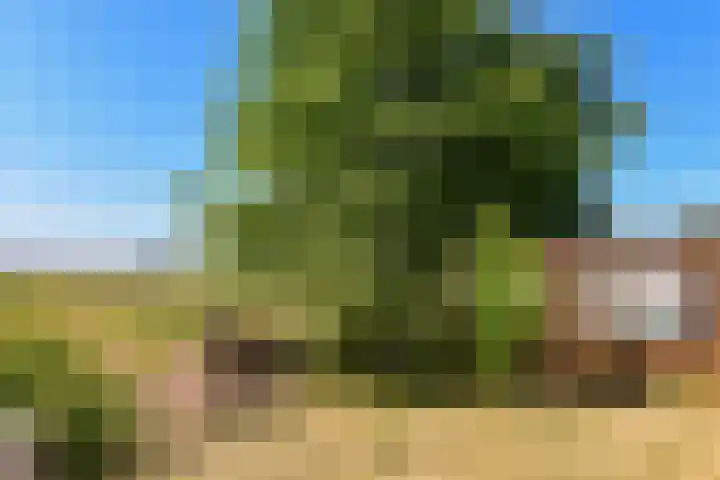 Pastoor Kannelaan 10 Wilnis thumbnail 45