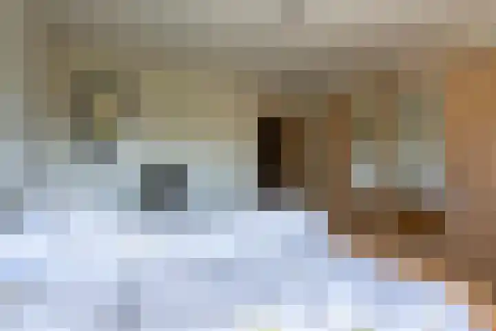 Pastoor Kaulhausenstraat 12 Landgraaf thumbnail 12