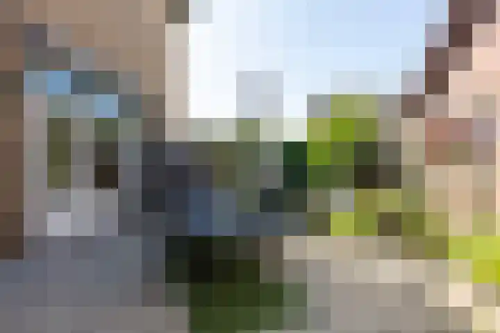 Pastoor Kaulhausenstraat 12 Landgraaf thumbnail 18