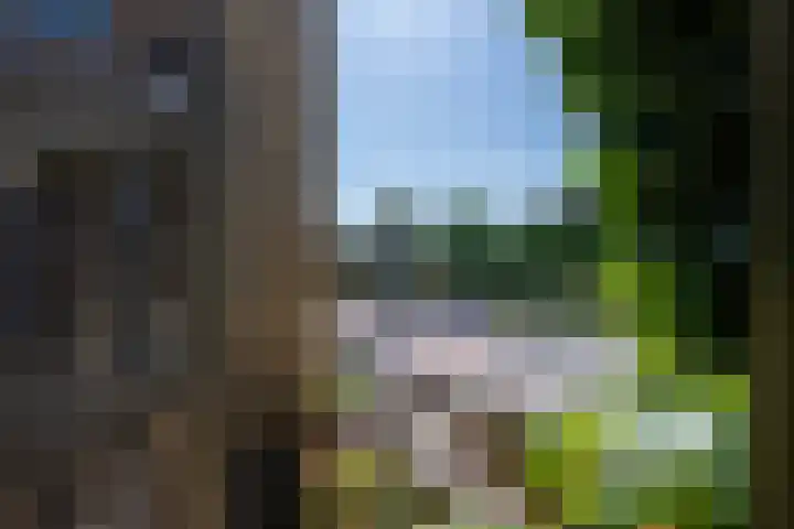 Pastoor Kaulhausenstraat 12 Landgraaf thumbnail 20