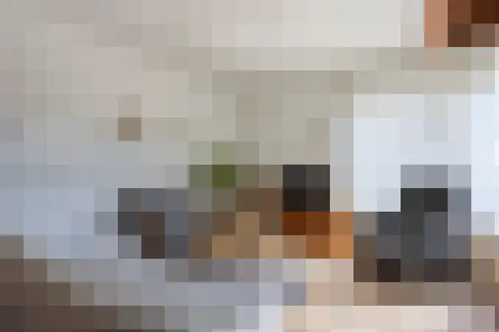 Pastoor Kaulhausenstraat 12 Landgraaf thumbnail 5