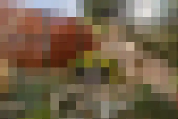 Pastoor Kengenstraat 2 Geulle thumbnail 42