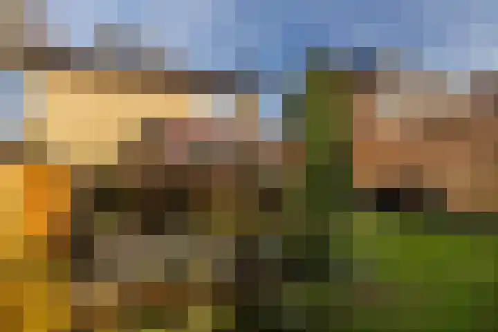Pastoor Kengenstraat 2 Geulle thumbnail 44