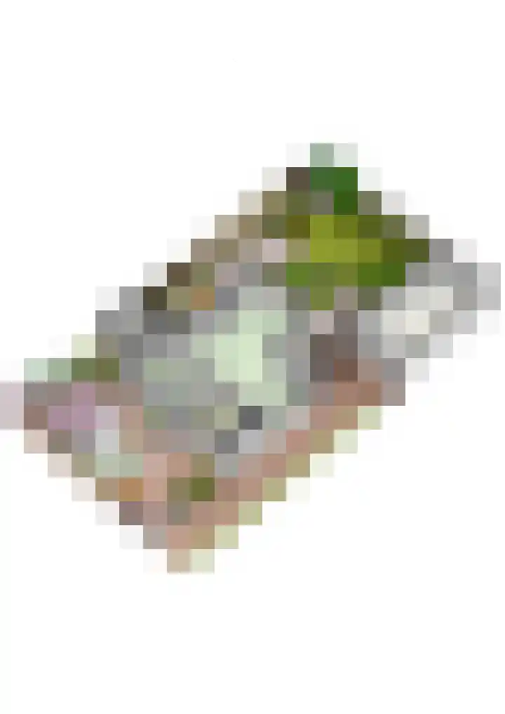 Pastoor Kengenstraat 2 Geulle thumbnail 55