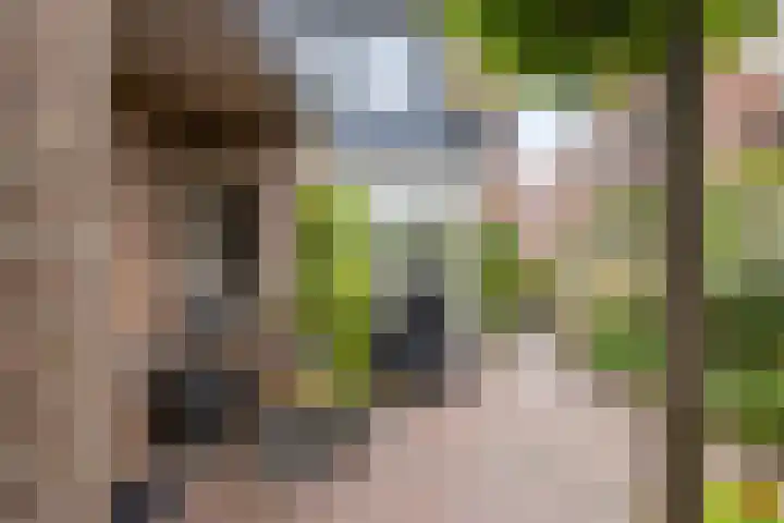 Pastoor Kerckerstraat 4 Steenbergen thumbnail 22
