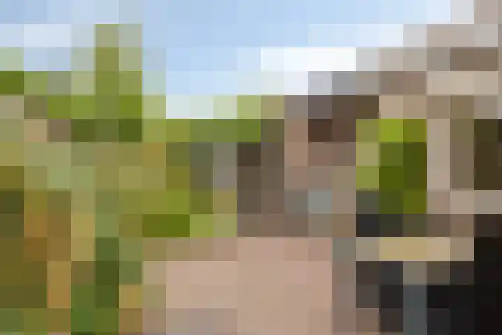 Pastoor Kerckerstraat 4 Steenbergen thumbnail 26