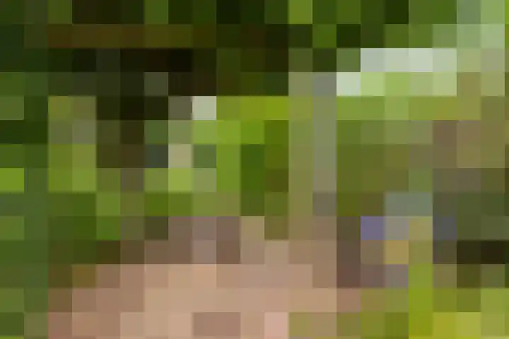 Pastoor Kerckerstraat 4 Steenbergen thumbnail 27