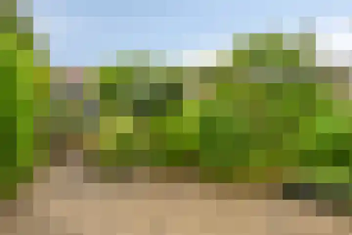 Pastoor Kerckerstraat 4 Steenbergen thumbnail 28