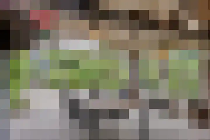 Pastoor Kerckerstraat 4 Steenbergen thumbnail 29