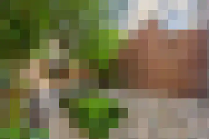 Pastoor Kerssemakersstraat 8 Helenaveen thumbnail 4