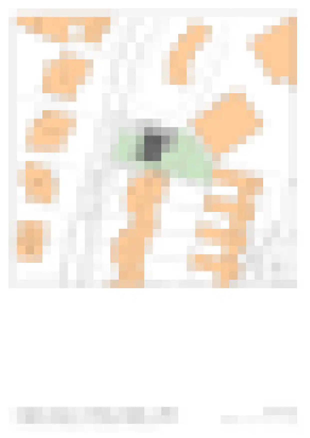 Pastoor Kikkenweg 1 AB Cadier en Keer thumbnail 18