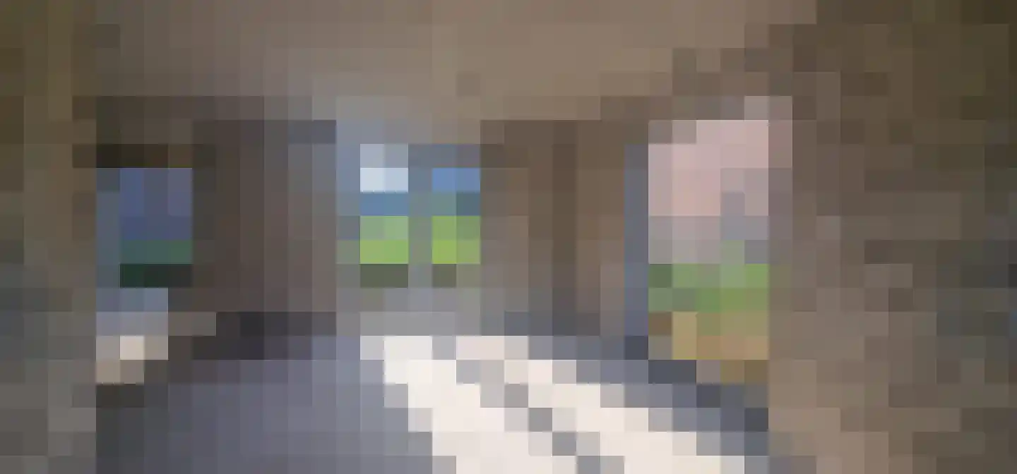 Pastoor Kikkenweg 1 AB Cadier en Keer thumbnail 9