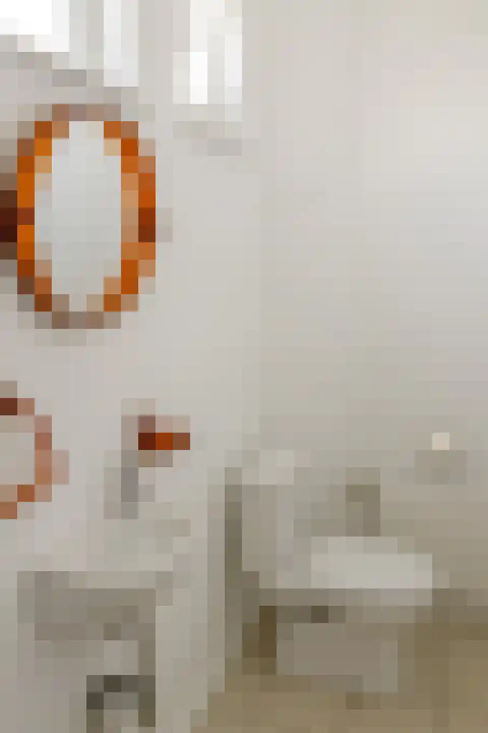 Pastoor Kikkenweg 4 Cadier en Keer thumbnail 16