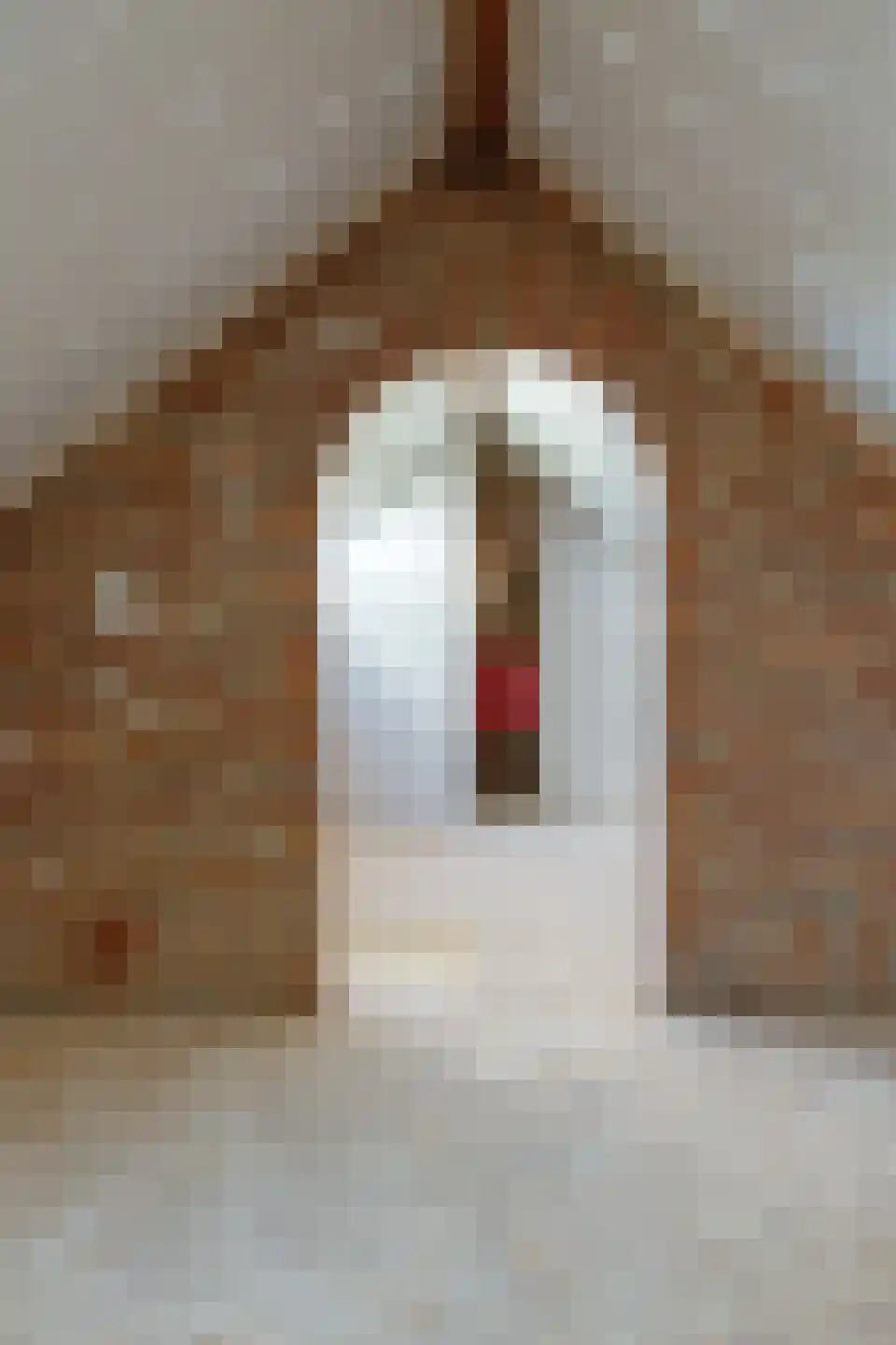 Pastoor Kikkenweg 4 Cadier en Keer thumbnail 32