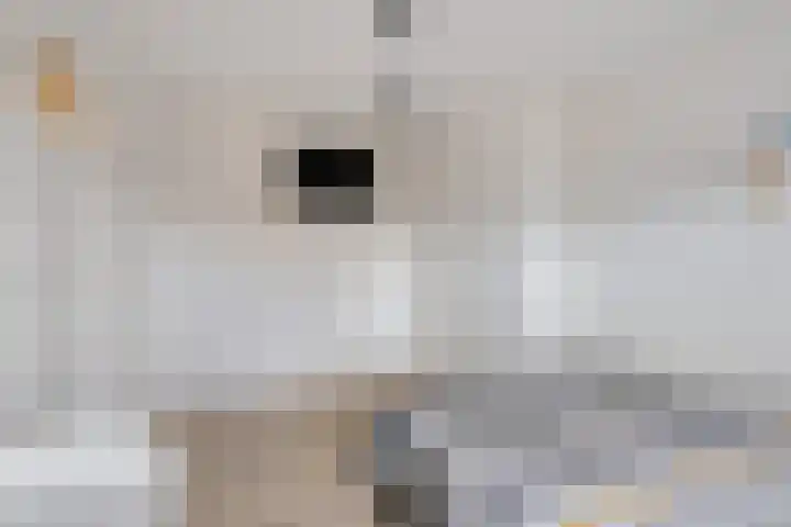 Pastoor Kikkenweg 8 Cadier en Keer thumbnail 20