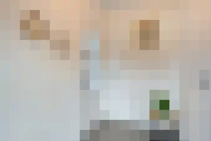 Pastoor Kikkenweg 8 Cadier en Keer thumbnail 4