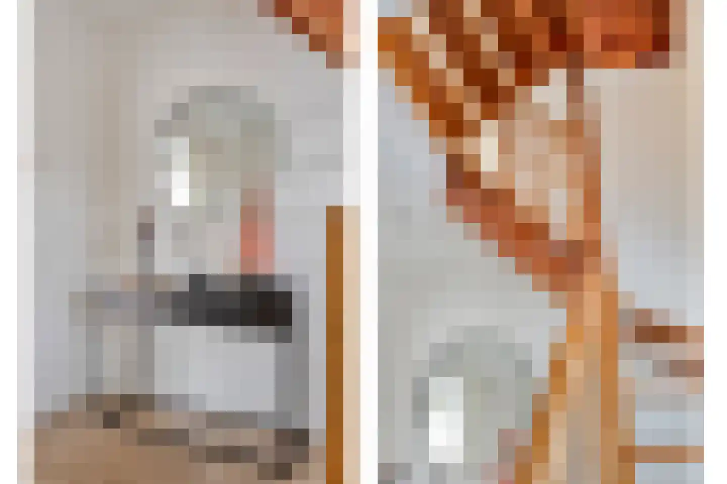 Pastoor Kisselsstraat 2 Ulestraten thumbnail 32